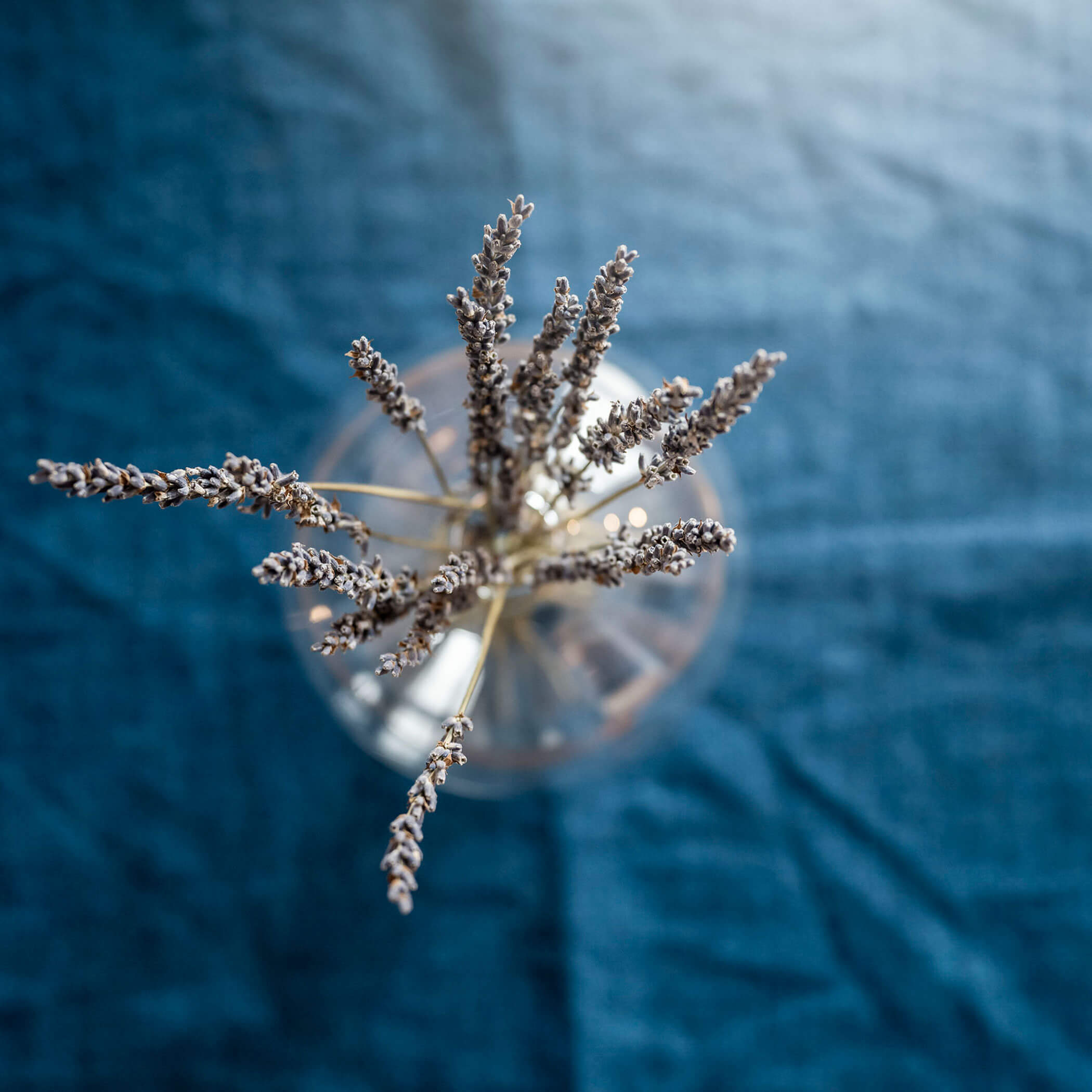 Un mazzo di lavanda in un vaso di vetro - Residence Kurze Wand