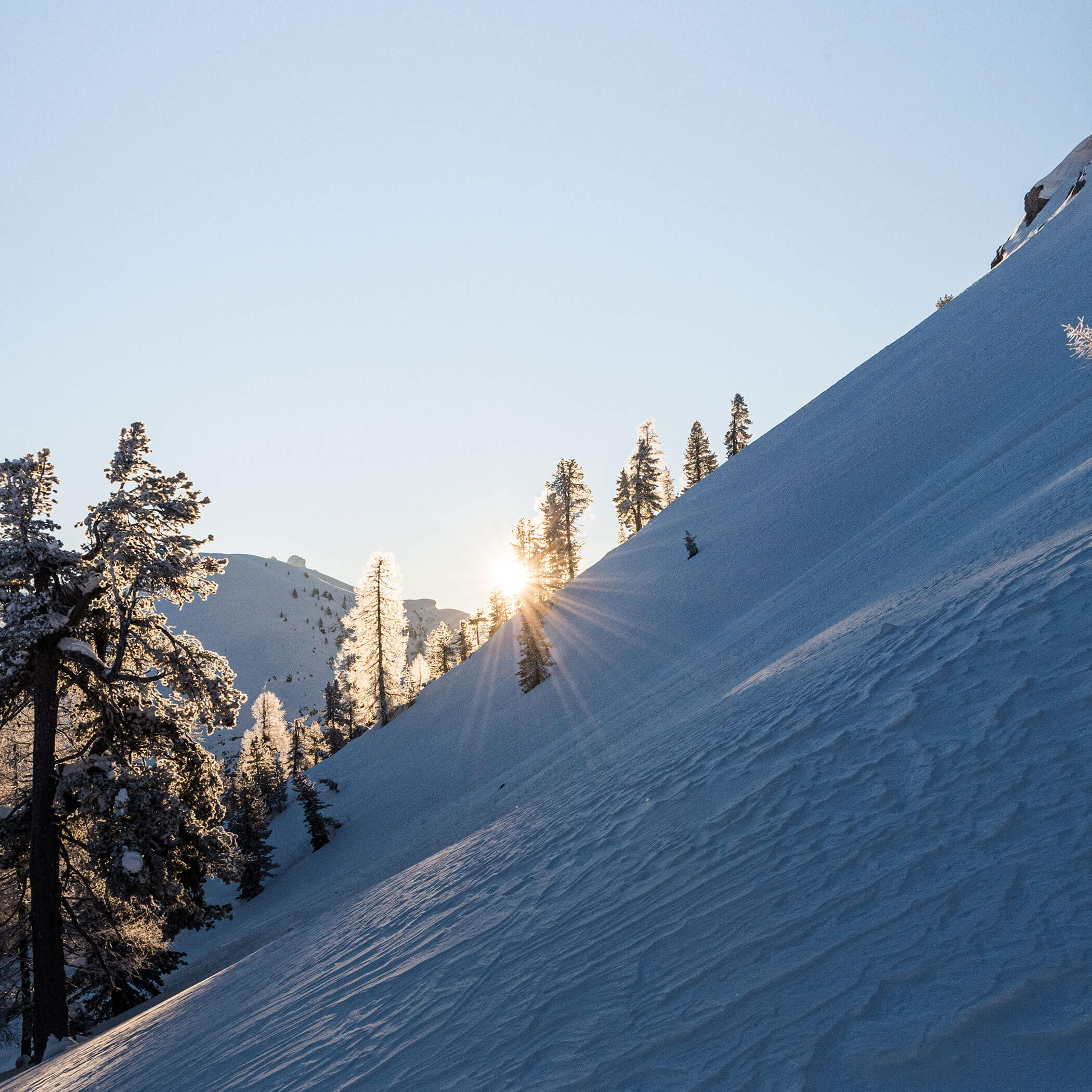 Un pendio innevato con alberi innevati e il sole che splende - Residence Kurze Wand